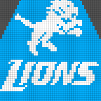 Copy of Detroit Lions Raglan