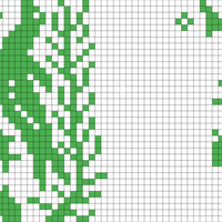 Copy of kelp forest