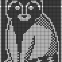Copy of Raccoon 2