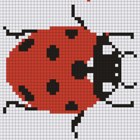 ladybiird.png