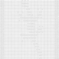 Copy of lizard with border