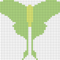 Luna Moth