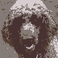 IMG_1362.png