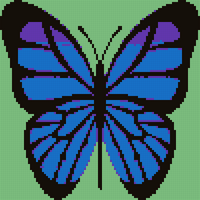 Copy of Copy of Copy of Copy of Butterfly