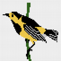 Bird 3