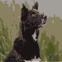 ab2a44b5cad60192af77aec53d27d554.jpeg