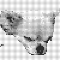 IMG_1575.PNG