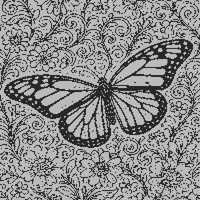 butterfly hard.jpg