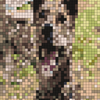 IMG_7253.jpeg