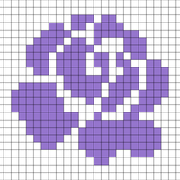 rosa