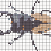 stag-beetle.jpg