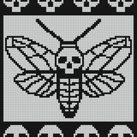 Moth.jpg