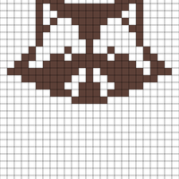 Raccoon