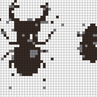 male-and-female-stag-beetles.jpg