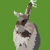 Copy of Copy of Rabbit.png