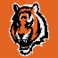 bengals tiger.jpg
