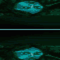 Без названия41_20251018150207.png