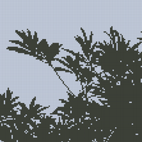 IMG_7998.png