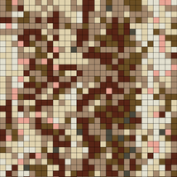 IMG_8099.jpeg