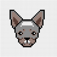 koira 2