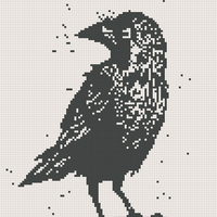 Crow2