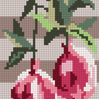 Pomegranate Correct Ratio