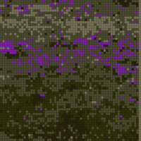 IMG_8828.jpeg