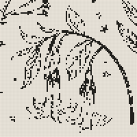 datura.jpg
