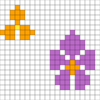 flowers 2