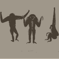 Copy of image.png
