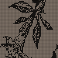 datura3.jpg
