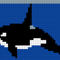 Copy of orca-clipart-md.png
