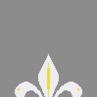 Copy of Scouts