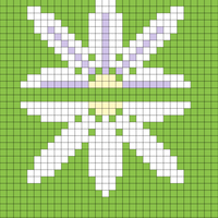 Naupaka expanded