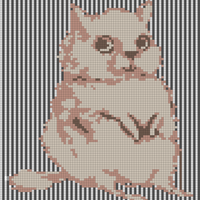 Copy of Copy of medieval cat.jpg