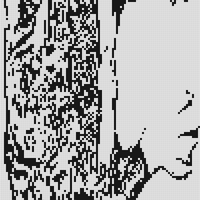 my-template.jpg