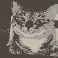 Copy of Courtney's Cat_1 -png.png