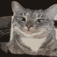 Copy of Courtney's Cat_1 -png.png