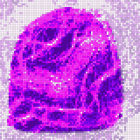 Untitled 8.png