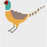 Pheasant