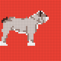 dog 2