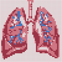 pngtree-anatomical-human-lungs-illustration-with-colorful-bronchial-tree-png-image_15827460.png