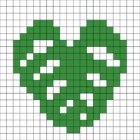 Copy of monstera