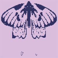 ilustracion-mariposa-gradiente_23-2151018670(1).jpg
