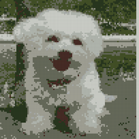 IMG_5011.jpeg