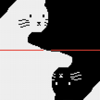 Cat pt 2