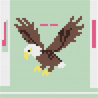 Copy of Copy of Copy of Eagle