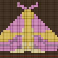 Rosy Maple Moth