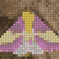 Copy of IMG_5907.PNG
