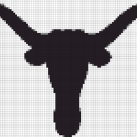 Longhorns 